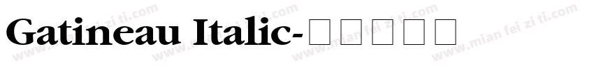 Gatineau Italic字体转换
